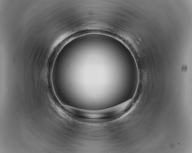 X0000091071114200708061256