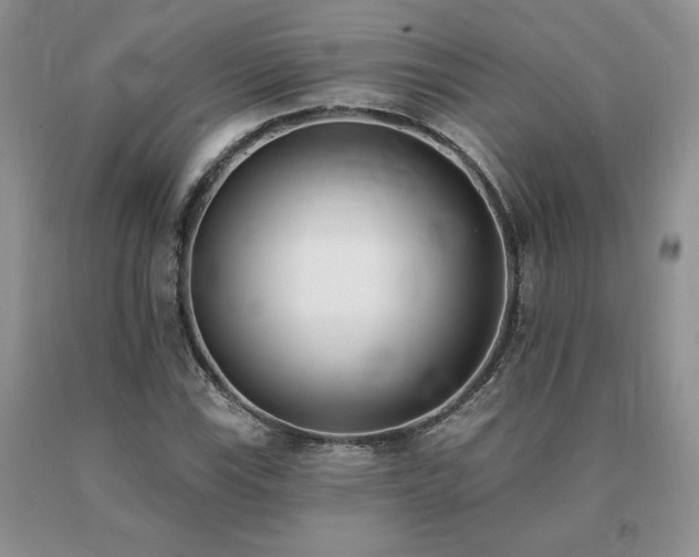 X0000091071115200708061256