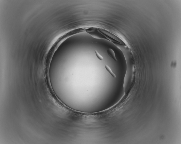 X0000091071116200708061256