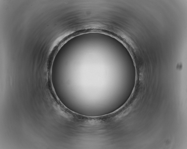 X0000091071117200708061256