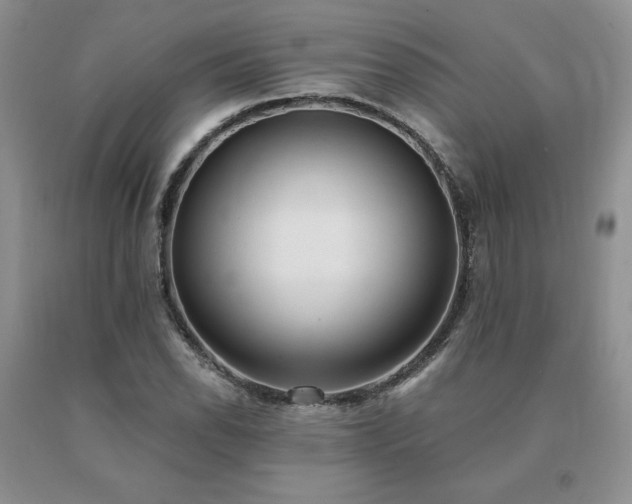 X0000091071118200708061256