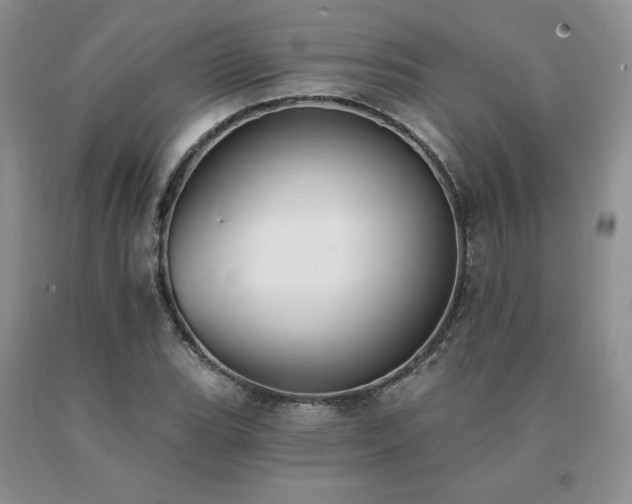 X0000091071119200708061256