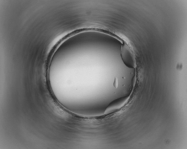 X0000091071120200708061256