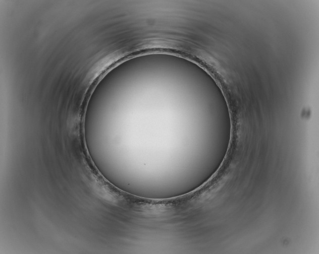 X0000091071121200708061256