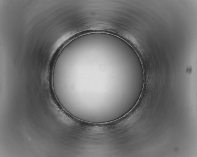 X0000091071122200708061256