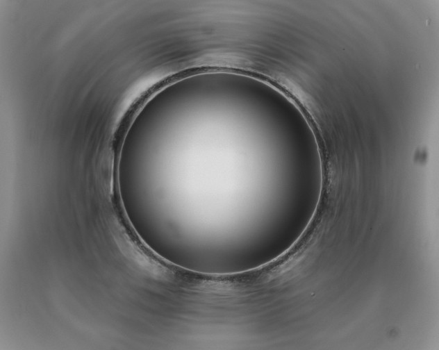 X0000091071123200708061256