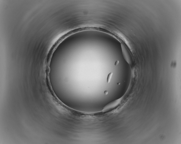 X0000091071124200708061256
