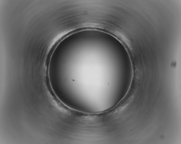 X0000091071125200708061256