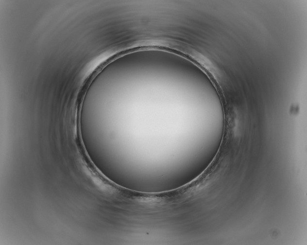 X0000091071127200708061256