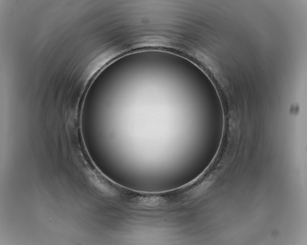 X0000091071129200708061256