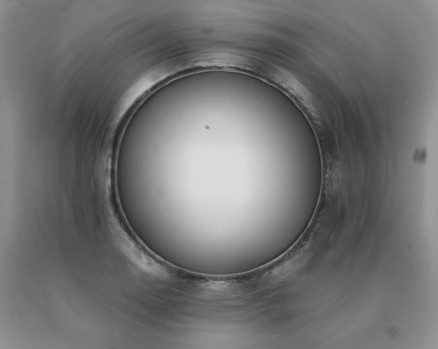 X0000091071130200708061256