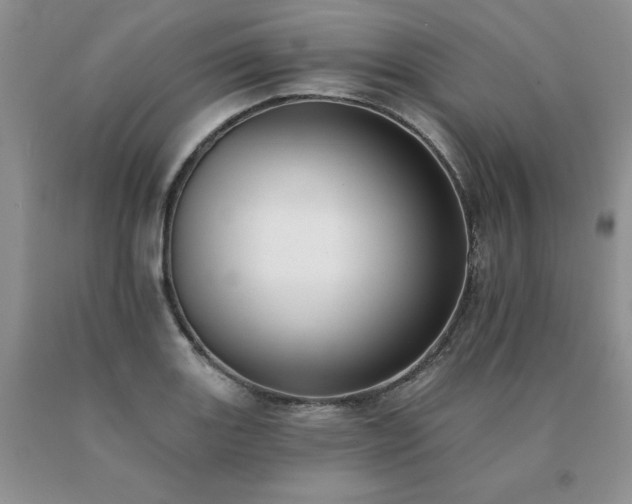 X0000091071131200708061256