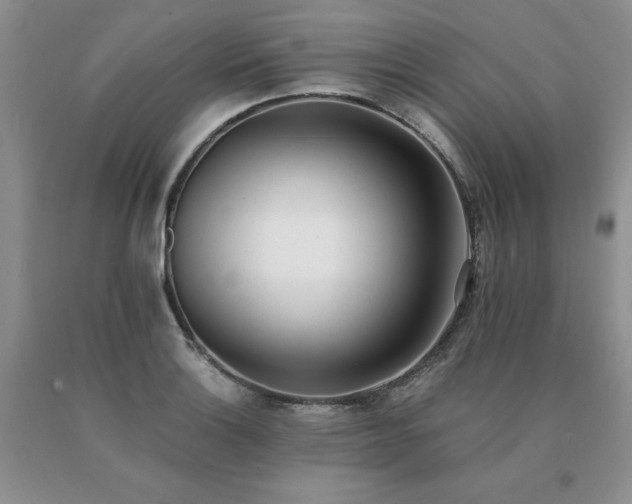 X0000091071132200708061256