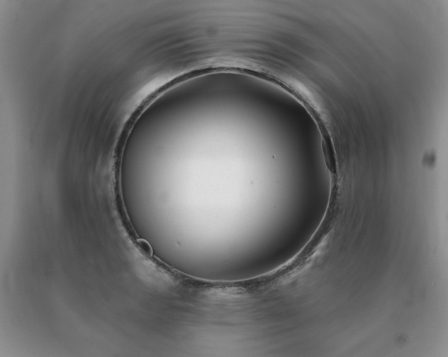 X0000091071133200708061256