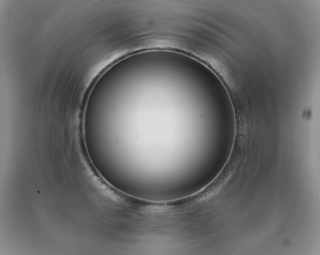 X0000091071134200708061257
