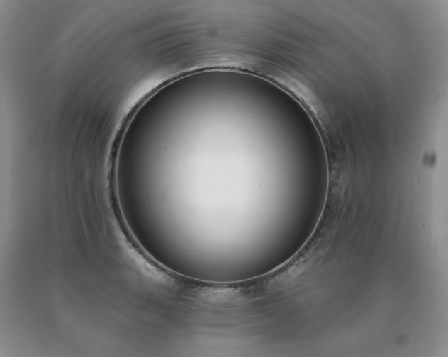 X0000091071135200708061257