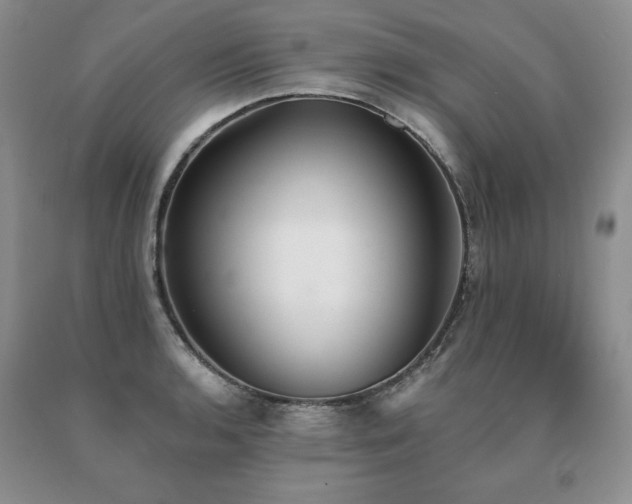 X0000091071136200708061257