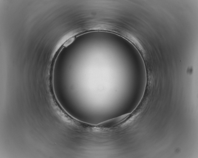 X0000091071138200708061257