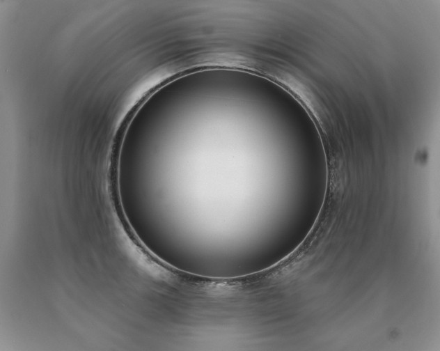 X0000091071139200708061257