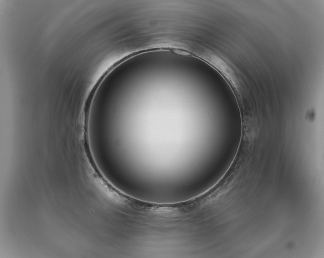 X0000091071140200708061257