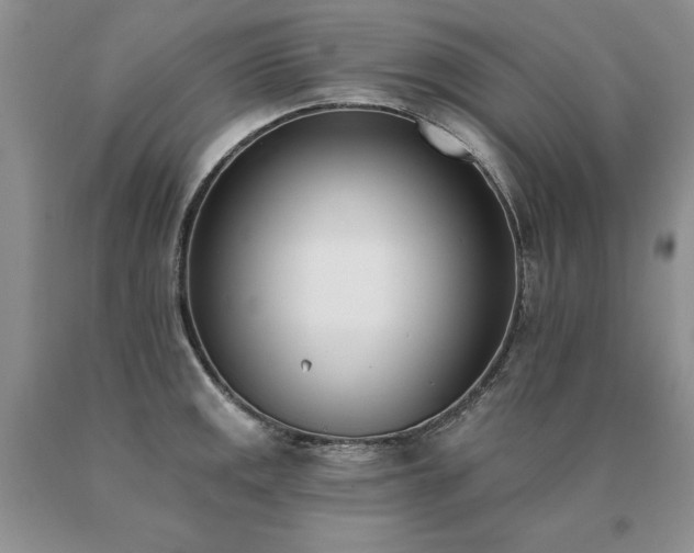 X0000091071141200708061257