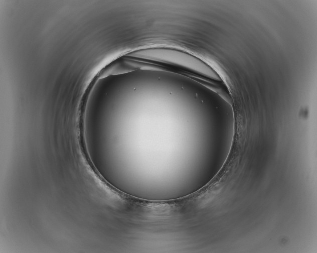 X0000091071142200708061257