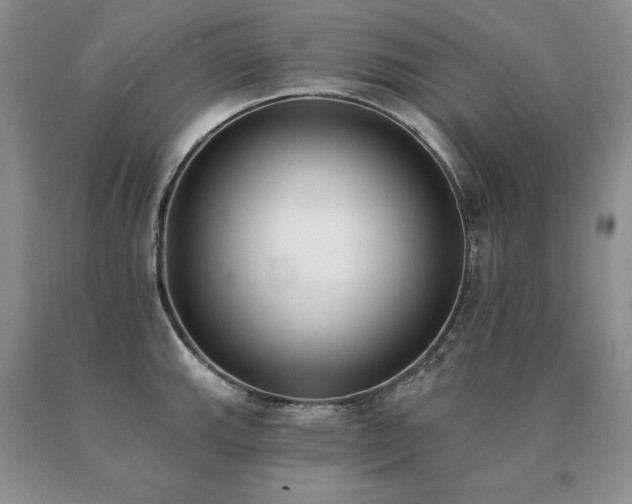 X0000091071143200708061257