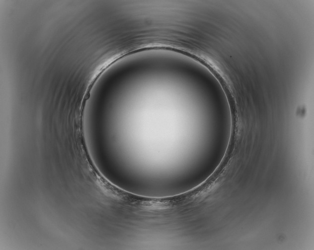 X0000091071145200708061257