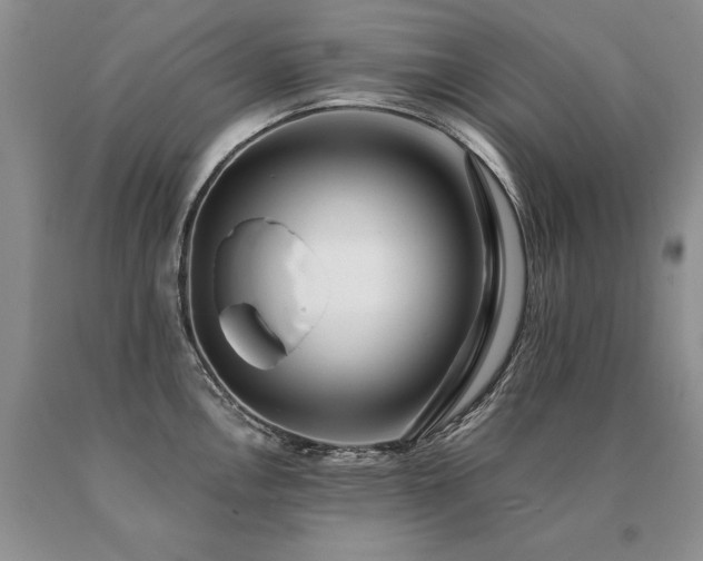 X0000091071146200708061257