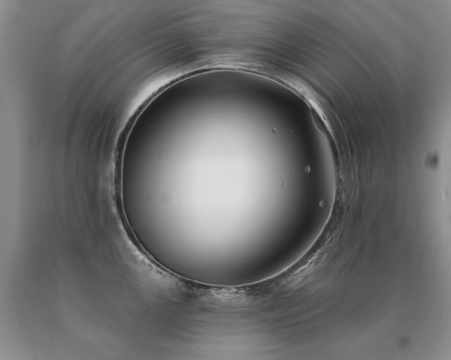 X0000091071147200708061257