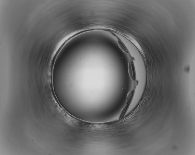 X0000091071148200708061257