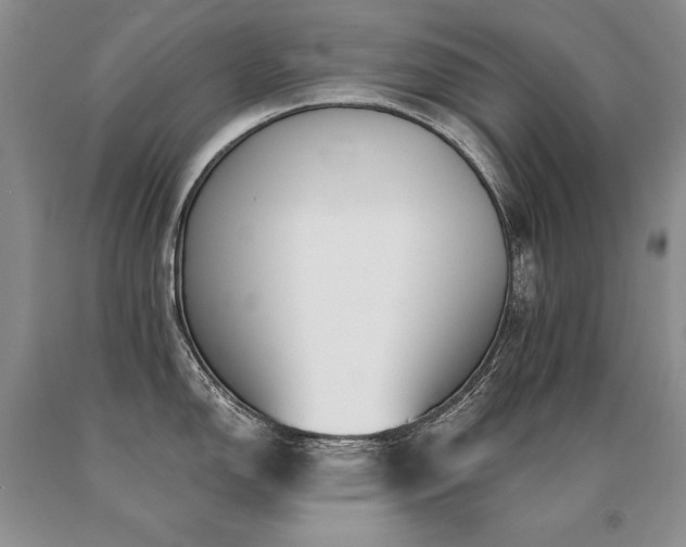 X0000091071150200708061257