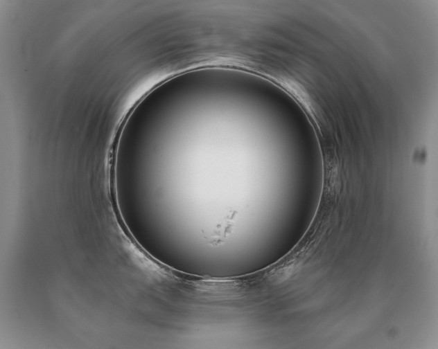 X0000091071151200708061257