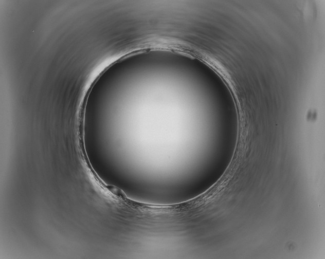 X0000091071152200708061257