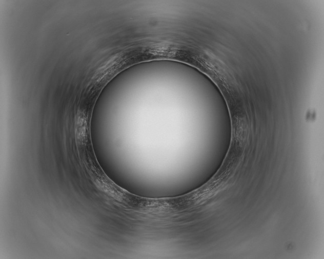 X0000091071154200708061256