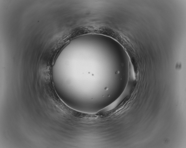 X0000091071156200708061256