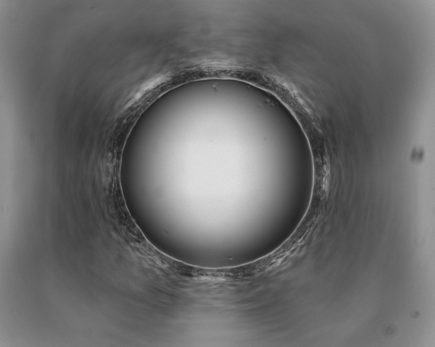 X0000091071157200708061256