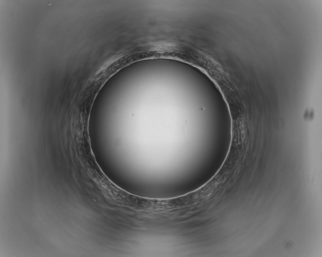 X0000091071158200708061256