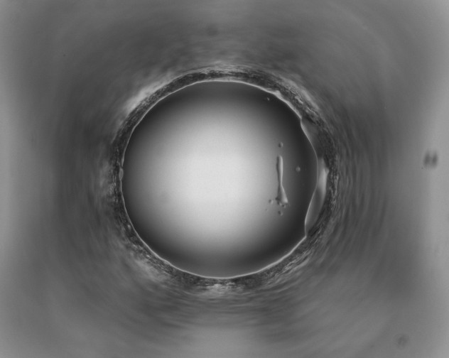 X0000091071160200708061256