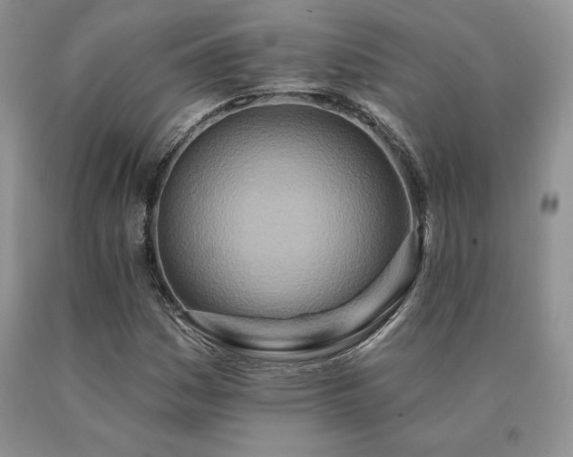 X0000091071161200708061256