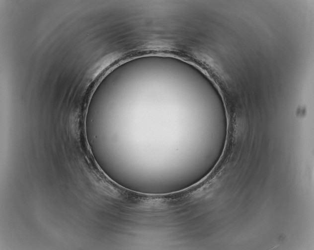 X0000091071162200708061256