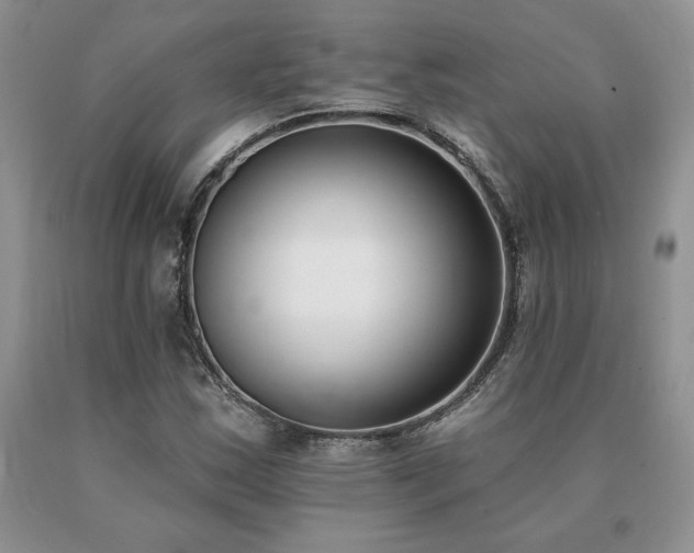 X0000091071163200708061256