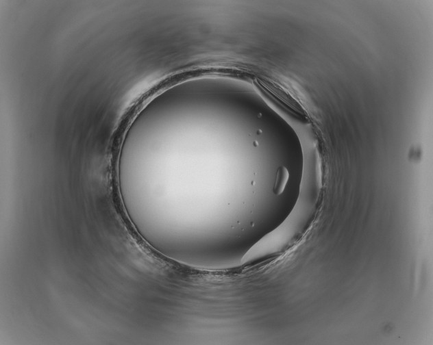 X0000091071164200708061256