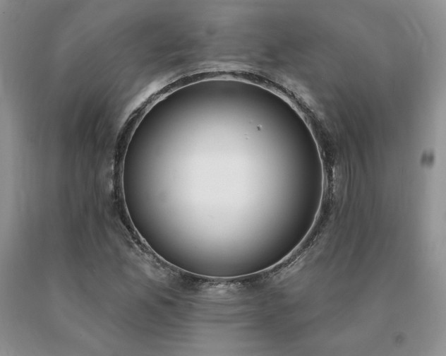 X0000091071165200708061256
