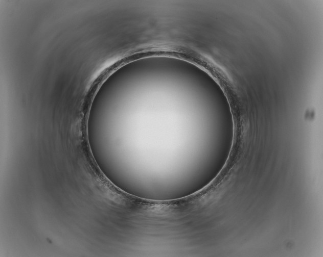 X0000091071166200708061256