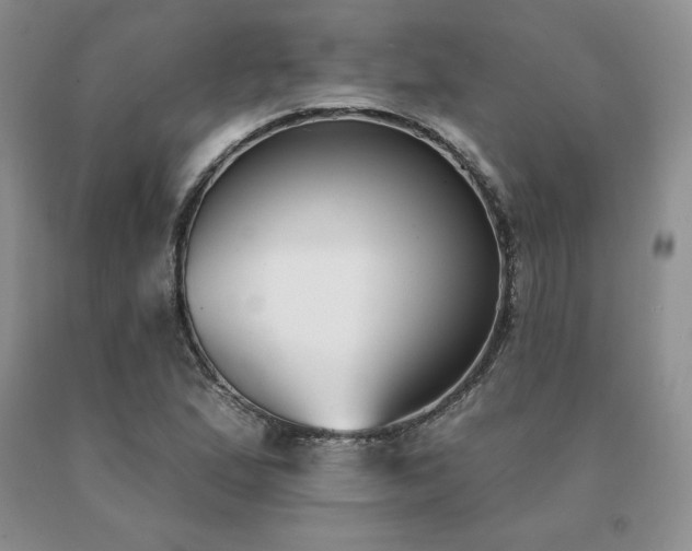 X0000091071167200708061256