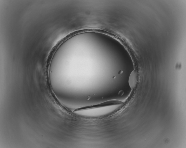 X0000091071168200708061256