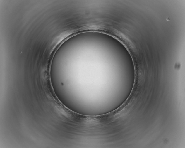 X0000091071170200708061256