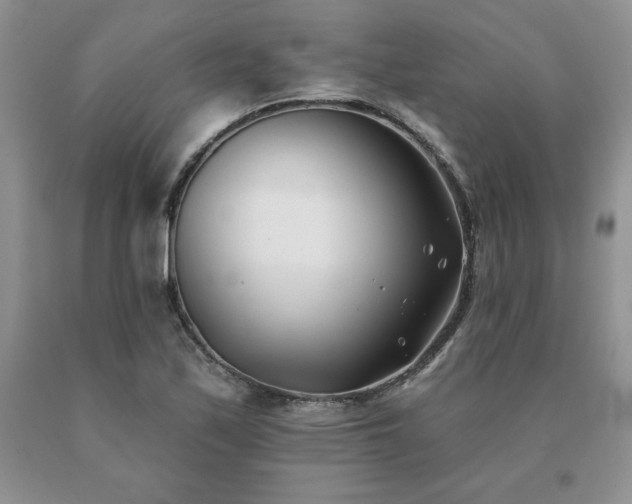 X0000091071171200708061256
