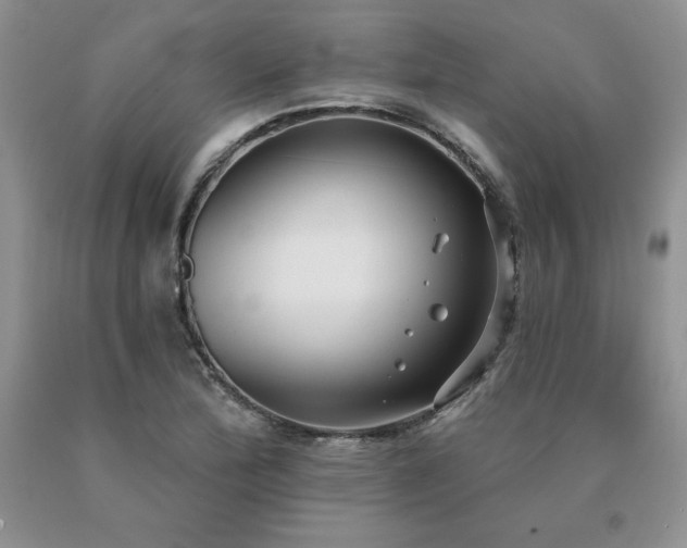X0000091071172200708061256
